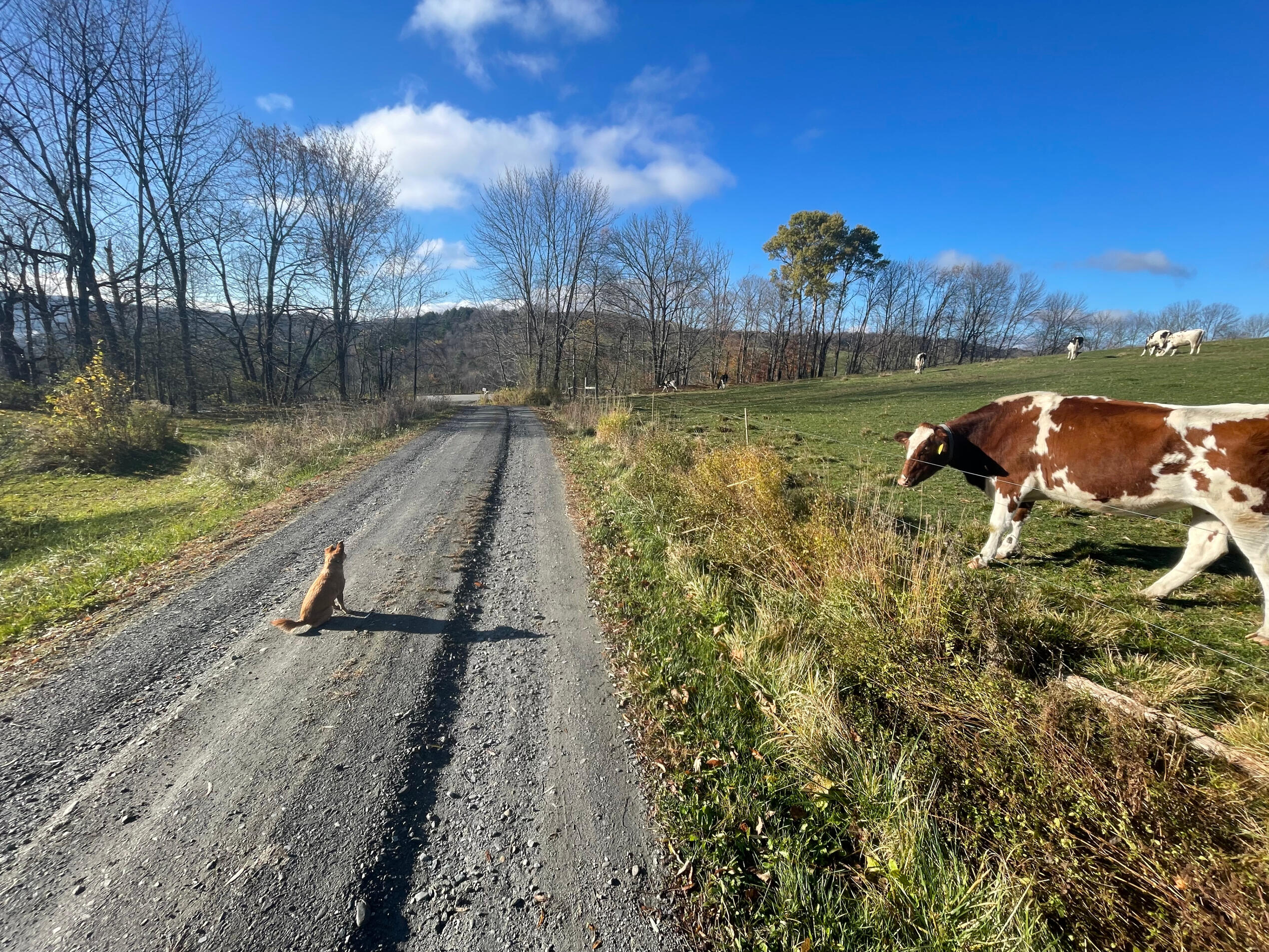 Team building Team building