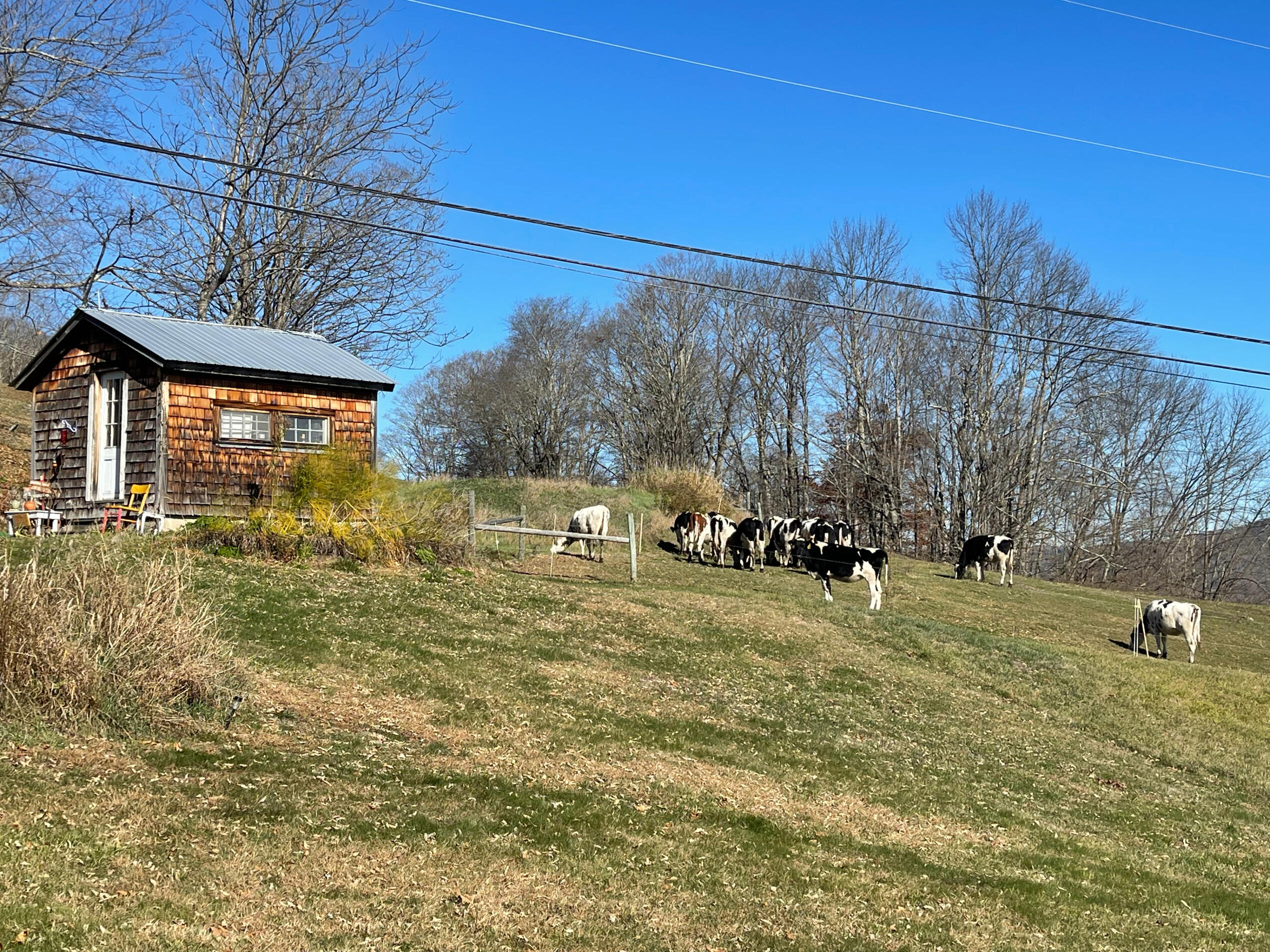 When your office used to be a chicken coop...